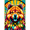 Chow Chow Dog