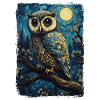 Owl Starry Night