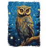 Owl Starry Night