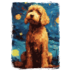 Lagotto Romagnolo Nuit étoilée