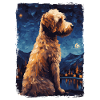 Lagotto Romagnolo Starry Night