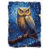 Owl Starry Night