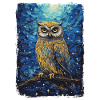 Owl Starry Night