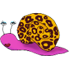 Fashion Schnecke