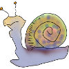 Cool Snail