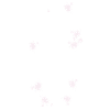 Croix S/N Bloom