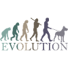 L’évolution du dogue allemand