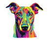 Wasserfarben Farbenfroher Greyhound