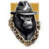 Gorilla mit Goldkette