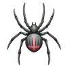 Dark Spider with Pink Markings