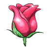 Glitter Pink Rose Illustration