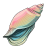 Pastel Seashell Illustration