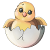 Cute Hatchling and Egg Illustration
