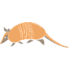 Armadillo Pet Armadillo Gift
