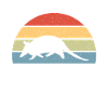 Armadillo Pet Armadillo Gift