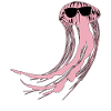 Jellyfish with Sunglasses