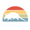 Armadillo Pet Armadillo Gift