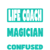 Life Coach