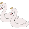 Cygne 2x