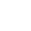 Brontosaurus Dino Gift