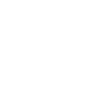 Brontosaurus Dino Gift