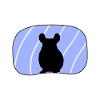 Souris rongeur chinchilla