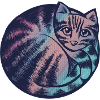 Kitty Cat Blues