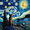 Chat, Motif De Chat