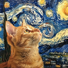 Cat, Cat Motif