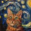 Cat, Cat Motif