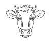 Line Art Papa Maman - Vache