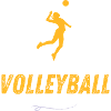 I can't volleyball - volleyball
