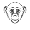 Line Art Papa Maman - Chimpanzé