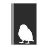 Budgerigar, Wings, Bird