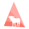 Vache Vaches Vache