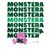 Monstera Monster