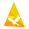 Vogel Vogel Vogelschwarm