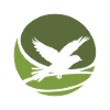 Volée d’oiseaux Oiseaux volants