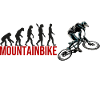 Evolution Mountainbike