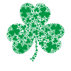 Blooming Shamrock