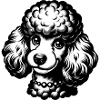 Cute Poodle Pencil Drawing