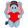 Elephant Groom Heart Wedding