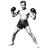 Boxer
