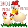 FUNNY CHICKEN COMIC - NO