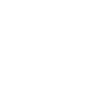 1929 - 95e anniversaire légendaire