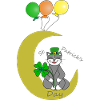 Chat sur la lune