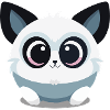 Cute Animal