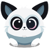 Cute Animal