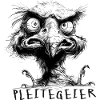 Pleitegeier