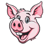 Funny happy pink pig